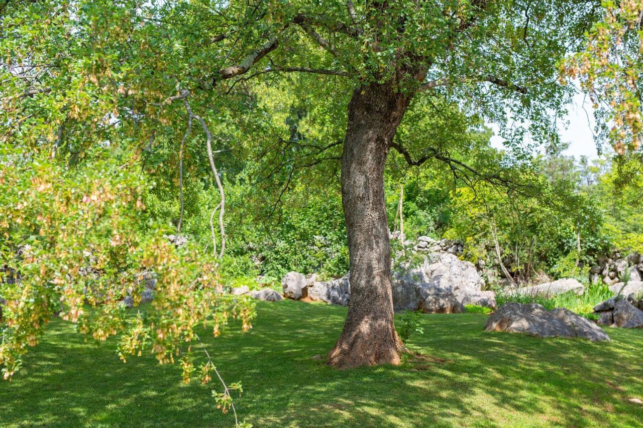 Vila Anka Malinska Exteriör bild